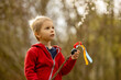 Cute preschool child, boy, holding handmade braided whip made from pussy willow, traditional symbol of Czech Easter used for whipping girls to receive eggs and sweets