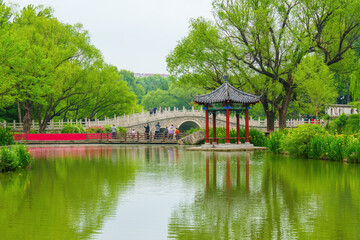 Poster - Park pavilion green tree lake water landscape