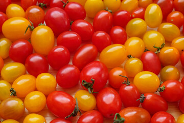 Wall Mural - Variety of colorful organic tomato background