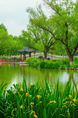 Wall Mural - Park pavilion green tree lake water landscape