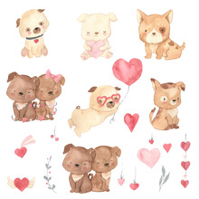 Watercolor Cute Dog Illustration For Kids