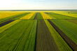 Aerial view with the  landscape geometry texture of a lot of agriculture fields with different plants like rapeseed in blooming season and green wheat. Farming and agriculture industry.