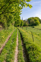 Wall Mural - Chemin de randonnée dans les sous-bois en pays de Bray en Normandie