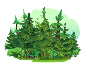 Wall Mural - Glade in Pine forest. Coniferous spruce trees. Landscape cartoon style. Isolated on white background. Vector