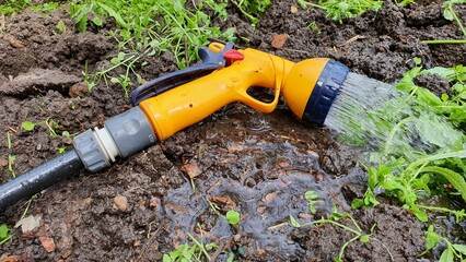 Watering plants