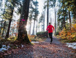 © plpictures by Paedii Luchs/Stocksy - Male athlete running in autumn forest.