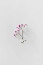 Branch Of Small Flowers Glued To Wall With Duct Tape