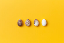 Four Quail Eggs Lying On Bright Yellow Background