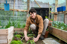 Portrait Of Young Smiley Man Planting Vegetable Plants In Greenhouse 