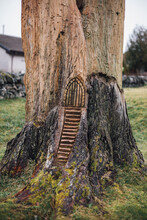 Fairy Door In Tree