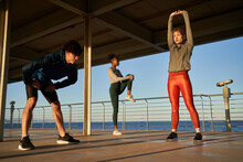 Fit Atheltes Stretching On Pier During Training