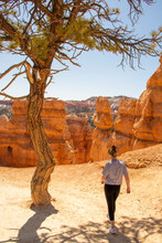 Bryce Canyon National Park, Utah, United States. Traveler Walking On Trail In Bryce Canyon National Park