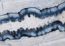 Woooly Mammoth Molar Cross-section Macrophotograph