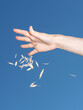 © Laura San Segundo/Stocksy - Woman's hand dropping grains or grass and deep blue sky