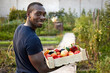 © Dmitry Borovikov/Stocksy - Male farmer carrying wooden box  harvest
