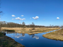 Wetland Area In Holland