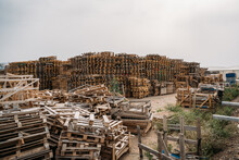 Pile Of Wooden Boxes In Greenhouse