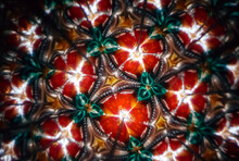 Kaleidoscope Colorful Pattern
