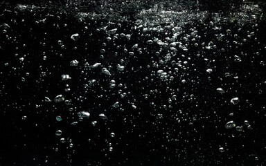 Wall Mural - Bubbles Water Float up on Black Background