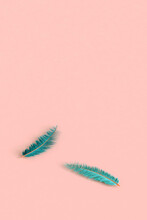 Two Blue Feathers On Pink Background. 3d Render