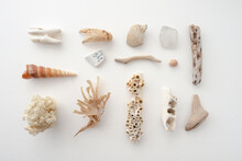 Collection Of Objects Found On The Beach