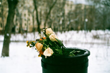Flowers in the trashcan during a winter cold morning.