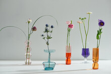 A Closeup Shot Of Four Glass Vases With Different Wildflowers