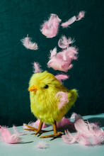 Pink Feathers Falling On A Yellow Teddy Chick