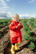 © Sergey Narevskih/Stocksy - Girl in raincoat and rubber boots collecting carrots