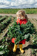 © Sergey Narevskih/Stocksy - Kid holding bunch of curly kale
