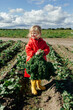 © Sergey Narevskih/Stocksy - Funny girl standing with bunch of curly kale plant