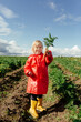 © Sergey Narevskih/Stocksy - Funny kid in red raincoat showing dirty carrot in field