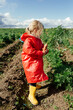 © Sergey Narevskih/Stocksy - Anonymous child in raincoat and rubber boots with carrots