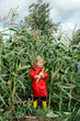 © Sergey Narevskih/Stocksy - Little child with corn cobs