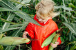 © Sergey Narevskih/Stocksy - Little kid with corn cobs among corn leafs