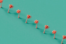 Palm Trees In A Row With Copy Space. 3d Render