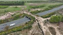 Ecoduct Ecopassage Or Animal Bridge Crossing Over The A12 Highway In The Netherlands. Structure Connecting Forrest Ecology Landscape Over The Freeway