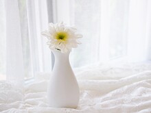 White Chrysanthemum Flower In Vase On Embroidered Cloth Lace, Window Soft Light Background Grandiflorum Chrysanthemum Morifolium Daisy Hardy Wedding Concept Romantic Copy Space For Letter Wallpaper 