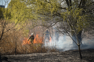 Wildfire in Vacaresti Natural Park, the largest green space in Bucharest, Romania