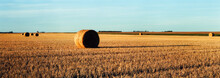 Hay Bale In A Wheat Field With Grain Elevator, Feudal
