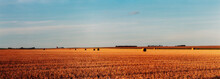 Hay Bale In A Wheat Field With Grain Elevator, Feudal