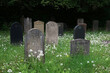 Jüdischer Friedhof - sehr alte Grabsteine