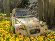 Lisse, Netherlands, May 2022. Old Car Overgrown With Plants And Flowers At The Keukenhof, Lisse.