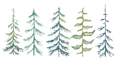 set of watercolor trees isolated on white background