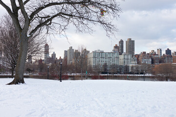 Wall Mural - Roosevelt Island and Manhattan Skyline along the East River seen from Rainey Park covered in Snow in Astoria Queens New York during the Winter