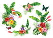 Tropical summer arrangements with palm leaves and exotic flowers. Vector illustration isolated on a white background.