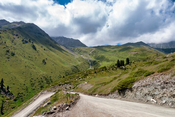 Wall Mural - mountain road in the mountains