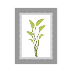 Gray photo frame with the image of a non-flowering plant. Isolated. Flat style.