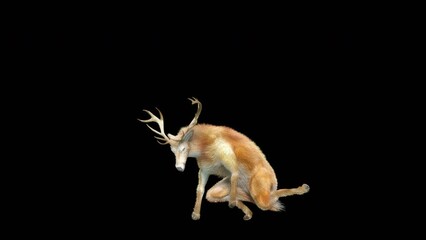 Wall Mural - deer dancing cg fur 3d rendering animal realistic cgi vfx animation loop composition 3d mapping cart