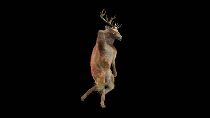 Wall Mural - deer dancing cg fur 3d rendering animal realistic cgi vfx animation loop composition 3d mapping cart